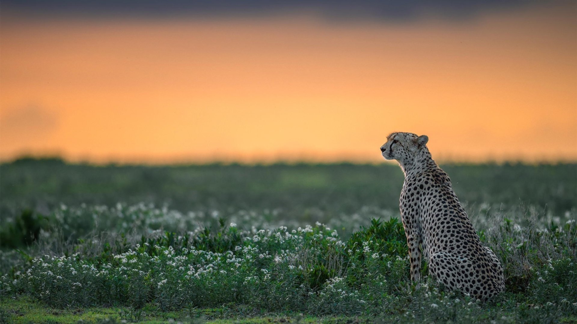 ayx爱游戏官网-体育明星参与体育公益创新项目推广,体育明星公益活动 第1张 ayx爱游戏官网-体育明星参与体育公益创新项目推广,体育明星公益活动 第1张